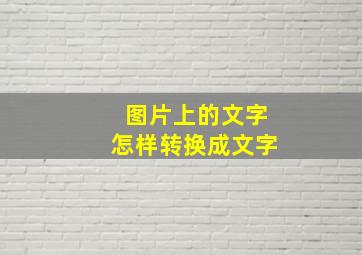 图片上的文字怎样转换成文字