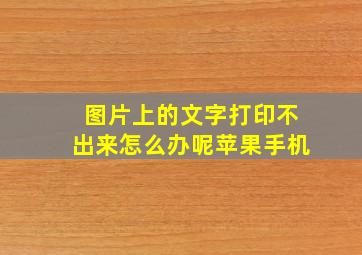 图片上的文字打印不出来怎么办呢苹果手机