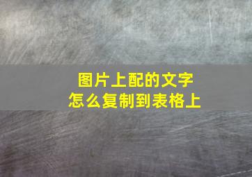 图片上配的文字怎么复制到表格上