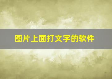 图片上面打文字的软件