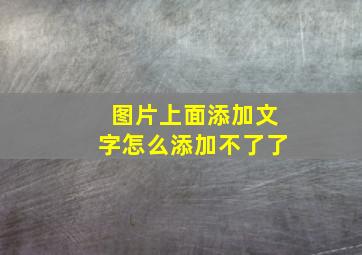 图片上面添加文字怎么添加不了了