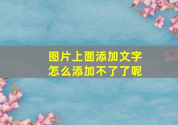 图片上面添加文字怎么添加不了了呢