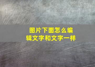 图片下面怎么编辑文字和文字一样