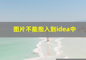 图片不能拖入到idea中