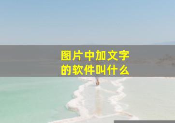 图片中加文字的软件叫什么