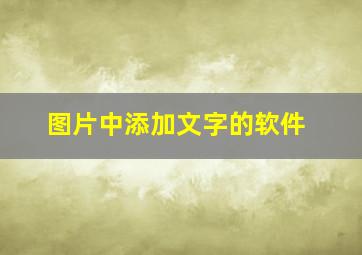 图片中添加文字的软件