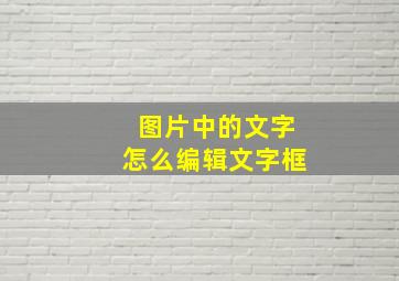 图片中的文字怎么编辑文字框