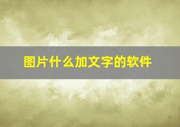 图片什么加文字的软件