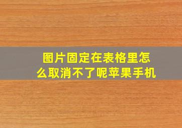 图片固定在表格里怎么取消不了呢苹果手机