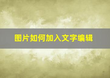 图片如何加入文字编辑