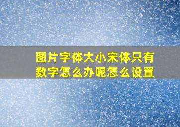 图片字体大小宋体只有数字怎么办呢怎么设置