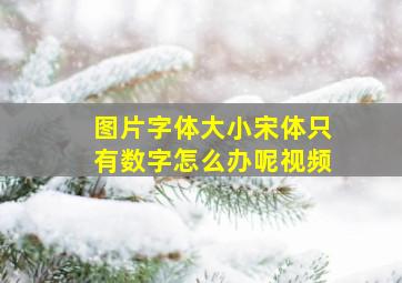 图片字体大小宋体只有数字怎么办呢视频