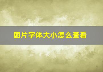 图片字体大小怎么查看