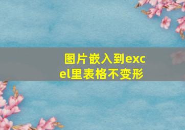 图片嵌入到excel里表格不变形