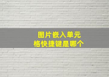 图片嵌入单元格快捷键是哪个