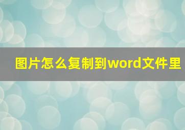 图片怎么复制到word文件里