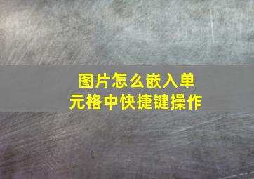 图片怎么嵌入单元格中快捷键操作