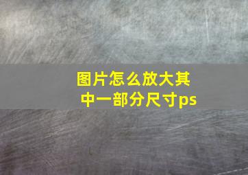 图片怎么放大其中一部分尺寸ps