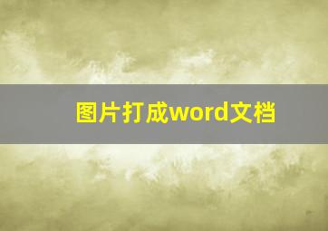 图片打成word文档