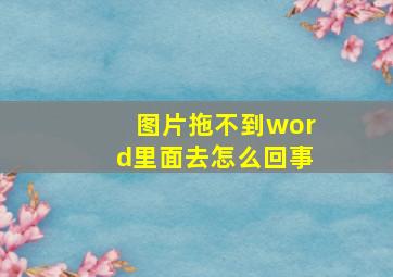 图片拖不到word里面去怎么回事