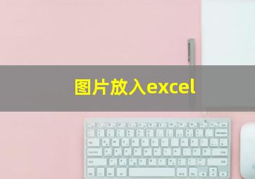 图片放入excel