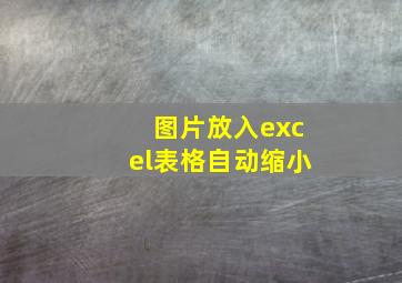 图片放入excel表格自动缩小