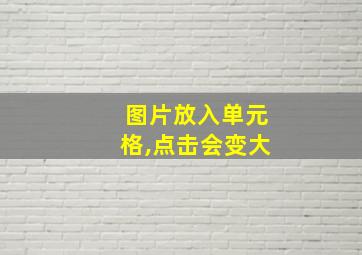 图片放入单元格,点击会变大