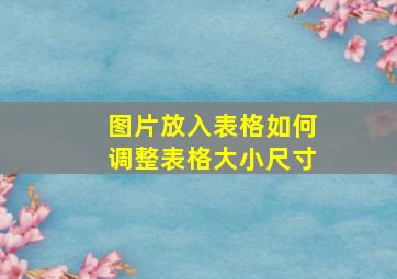 图片放入表格如何调整表格大小尺寸