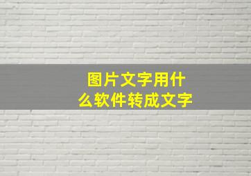 图片文字用什么软件转成文字