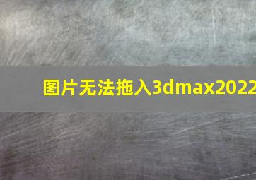 图片无法拖入3dmax2022