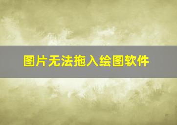 图片无法拖入绘图软件