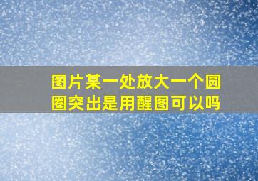 图片某一处放大一个圆圈突出是用醒图可以吗