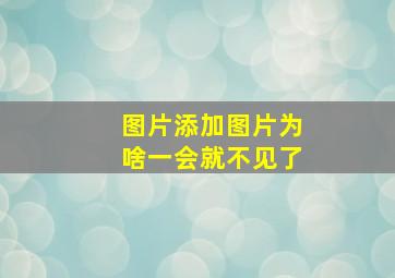 图片添加图片为啥一会就不见了