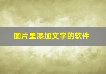 图片里添加文字的软件