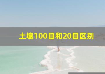 土壤100目和20目区别