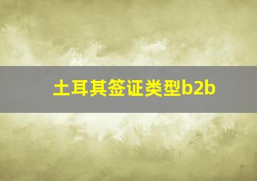 土耳其签证类型b2b