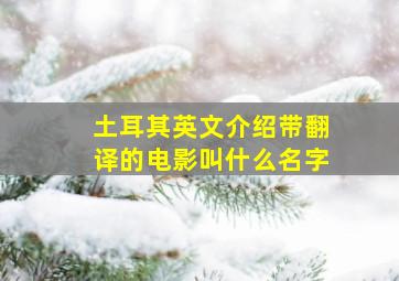 土耳其英文介绍带翻译的电影叫什么名字