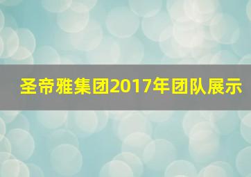 圣帝雅集团2017年团队展示