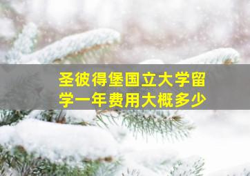 圣彼得堡国立大学留学一年费用大概多少