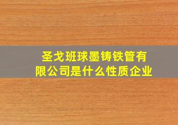 圣戈班球墨铸铁管有限公司是什么性质企业