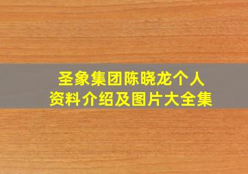 圣象集团陈晓龙个人资料介绍及图片大全集