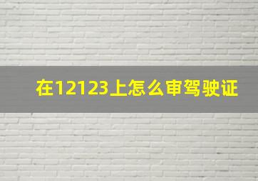 在12123上怎么审驾驶证