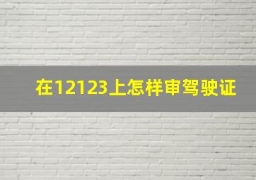 在12123上怎样审驾驶证