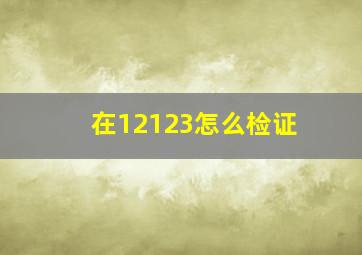 在12123怎么检证