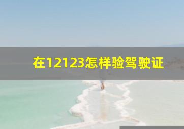 在12123怎样验驾驶证