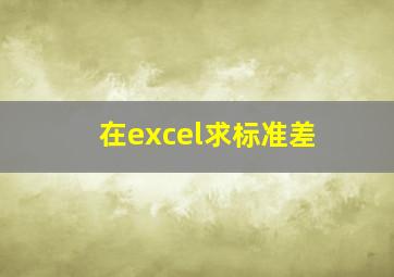 在excel求标准差