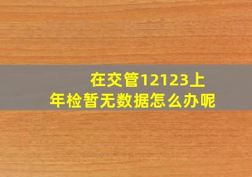 在交管12123上年检暂无数据怎么办呢