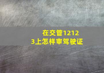 在交管12123上怎样审驾驶证