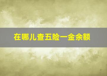 在哪儿查五险一金余额