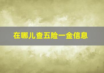 在哪儿查五险一金信息